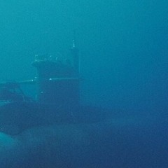 Кашалот. Sperm Whale