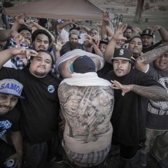 S-FACTORS FEAT. POOK (Hardhitters) 'Positively Reality' (THROWbAC TRACC)