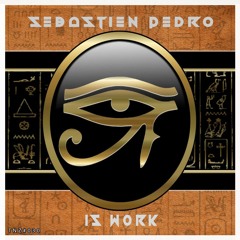 IS WORK (Original Mix) Sebastien Pedro (FACE B)