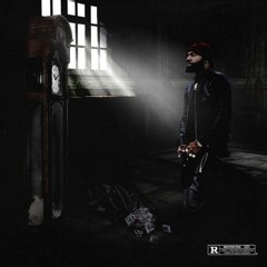 STEELO