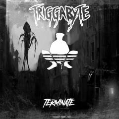Triggabyte X Go Pnik - Terminate (Original Mix)