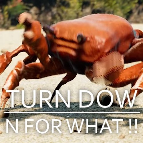 Turn Down For Crabs