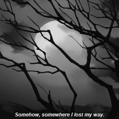 Shiloh - sing to you (prod. by Monty Datta)