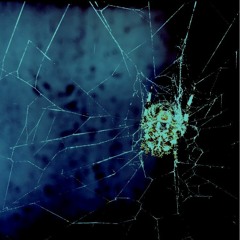 BERNIEMACELEVEN - i ALMOST QUIT