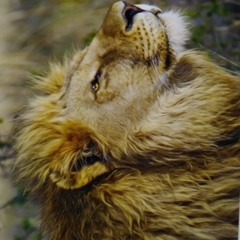 DEAL WITH IT ft Isaac  prod. Silli Kidd