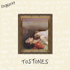 tostones (prod. zeeky beats)