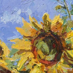 sunflower.