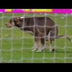 Girls Soccer Warm-Up (clean)