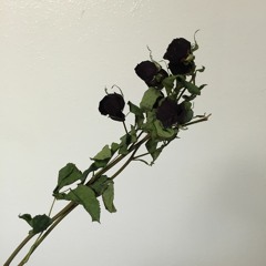 Bad Role Models, Old Idols Exhumed (Car Seat Headrest Cover)