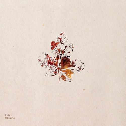 Didacte - Laho