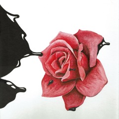 The Way I See It