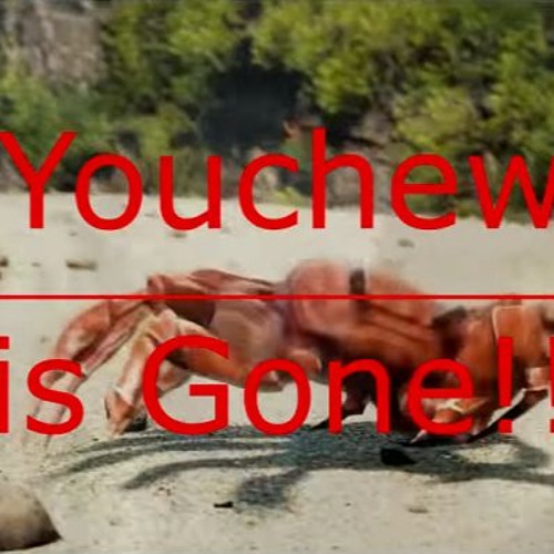 Youchew Is Gone!!