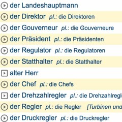 Translation - Büro Landeshauptmann Salzburg - Haslauer - Korruption