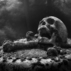 Dark & Hard Techno Freebies #1