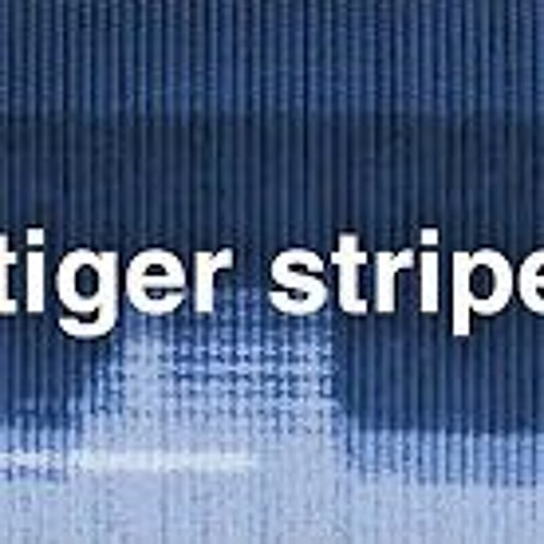 Tiger - Stripes - Jack - My - Yum