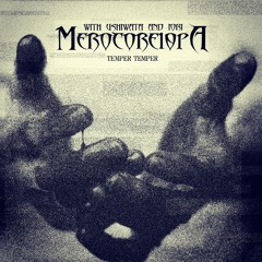 Temper Temper with ushiwata and iori (Bullet For My Valentine Cover)