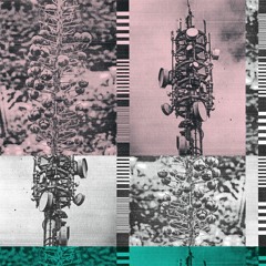 Baaz - Earth 2 -Office Recordings 14