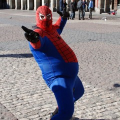 spider man viha biisi