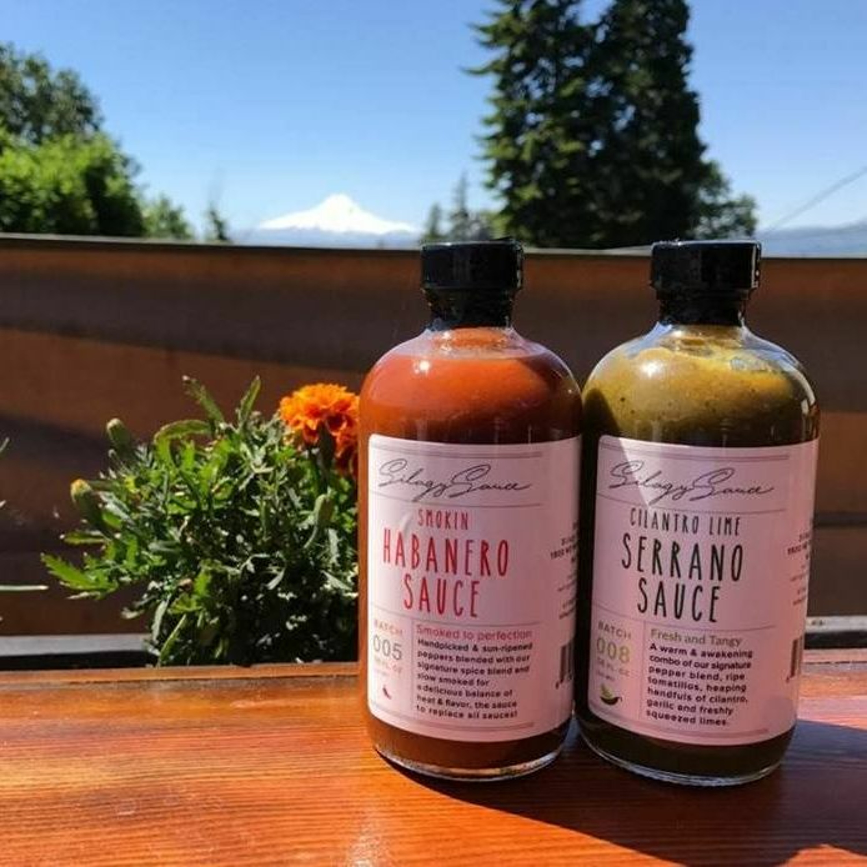 Dave of Silagy Sauce on starting a fire roasted hot sauce company with his sons episode artwork