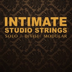Intimate Studio Strings - My Heart