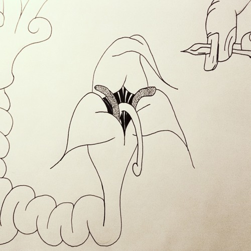 ZOO_012: Blush Response (Ambient Podcast)