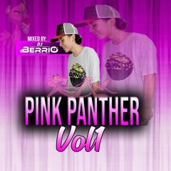 PINK PANTER VOL1 - MIXED BY DJ BERRIO