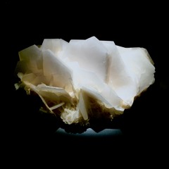 Counter (Ƨ) Culture - MIDI