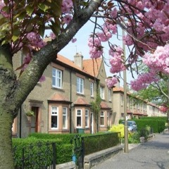 Lovely Monster : dark secrets of suburbia...gypsy feel