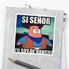 Si Señor Yo Soy Del Rancho