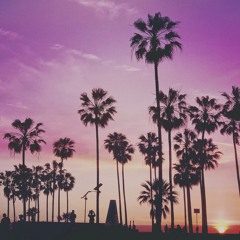 Los Angeles Electric Sunsets Vol.10