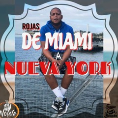 DE MIAMI A NYC  ROJAS