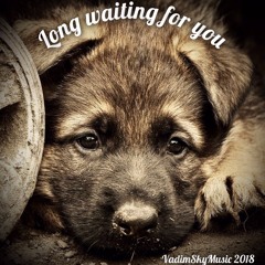Long Waiting For You (Short Track) - VadimSkyMusic