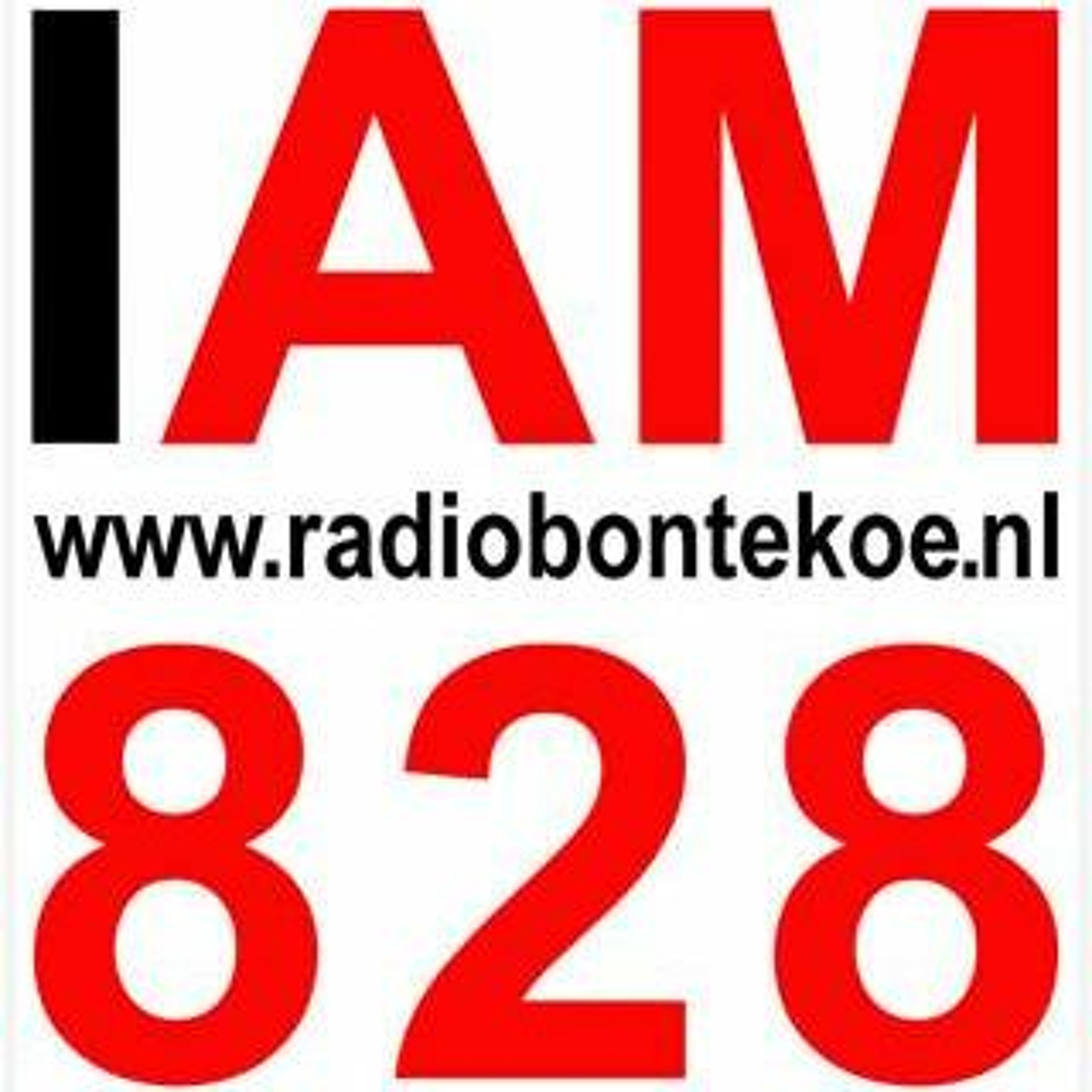 Column Van Sjaak Grosthuizen 4 mei 2019