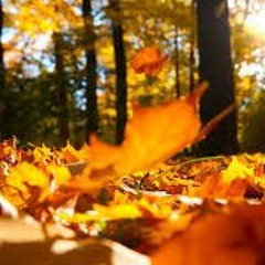 "Ukuphela" Yemoja Sol presents the Fall Music Box 2018