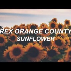 Rex Orange County - Sunflower (TMac Bootleg)