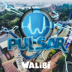 Pulsar - Walibi Belgium IMAscore