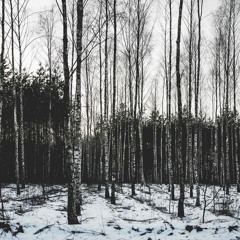 Slowed Songs