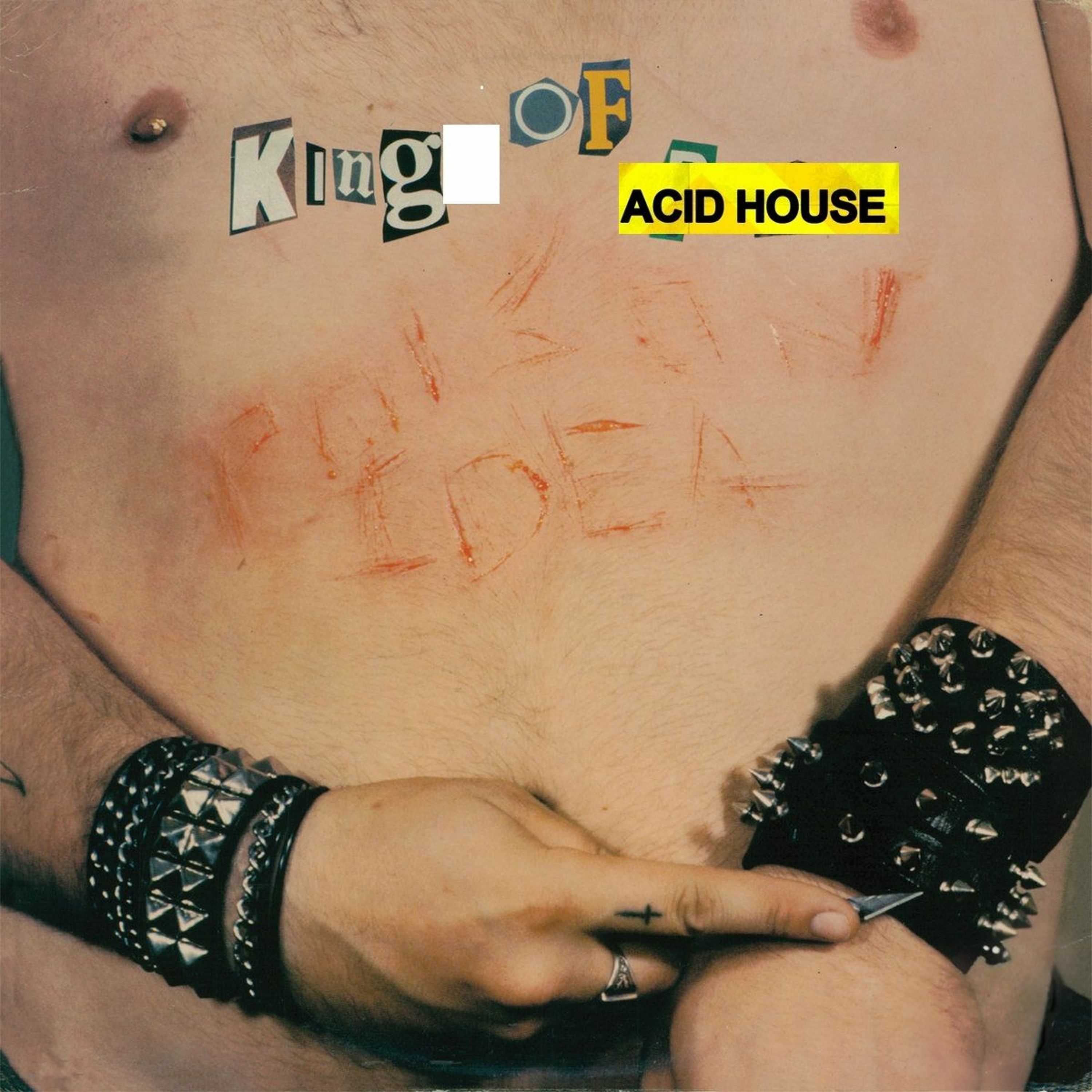 remember punk is more than teenage rebellion mix