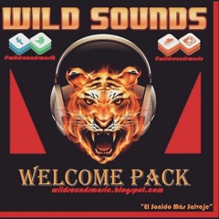 Welcome to WILD SOUNDS MUSIC [MASHUP PACK]