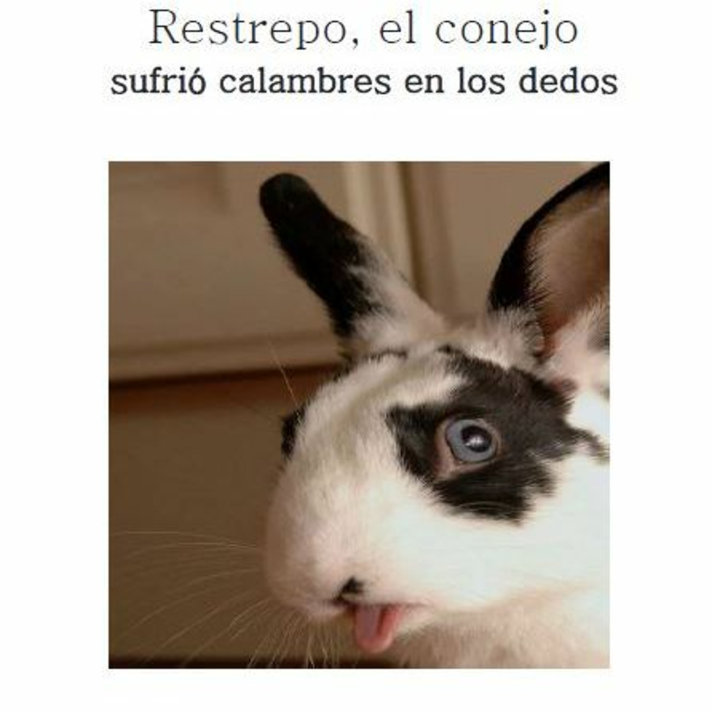 La Dicha de Escribir y Escuchar