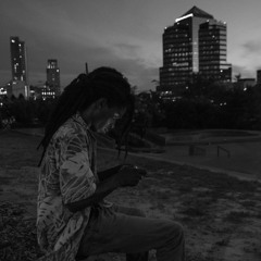 Prince P - In The City