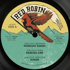 Red Robin 03 (12" discomix)