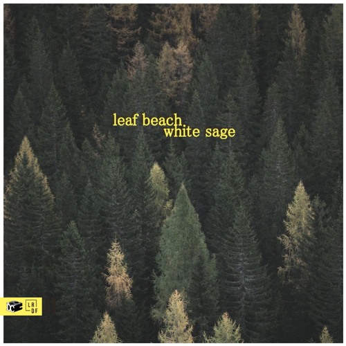 leaf beach. - white sage