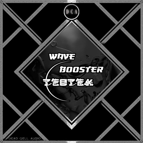 Teotek - Wave Booster