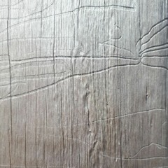 Wilgadjny, first visit