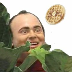 ruddim trop bizarre