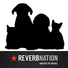 Companion Animal - Tsunami Siren