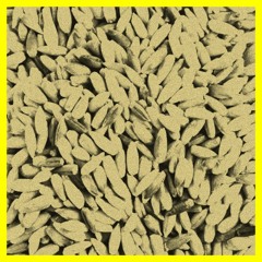 grain