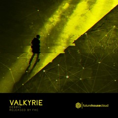 Debris - Valkyrie