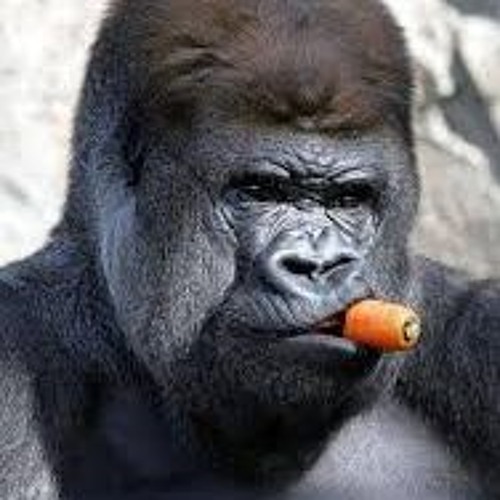 Spaztek & The Monkeymind - Back Up! (Original Gorilla Percussion Concussion Mix)
